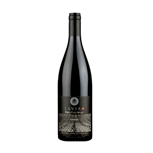 LAVIA PLUS FINCA PASO MALO 2009