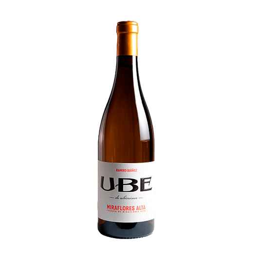 UBE CASERÍO MIRAFLORES ALTA 2024