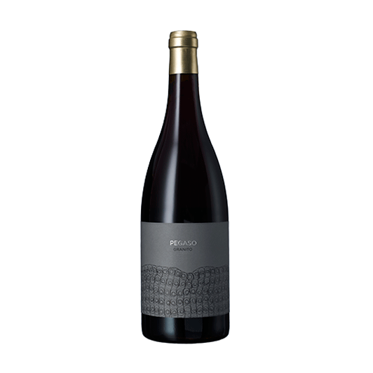 PEGASO GRANITO 2010