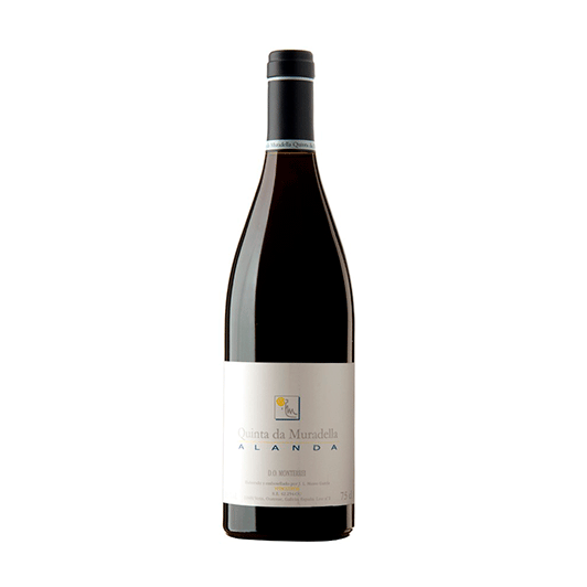 ALANDA TINTO 2016