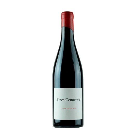 FINCA GENOVEVA CAIÑO 2018