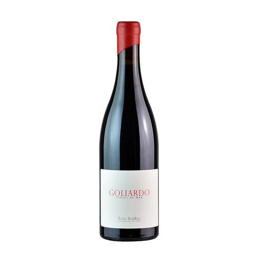GOLIARDO TINTO 2021
