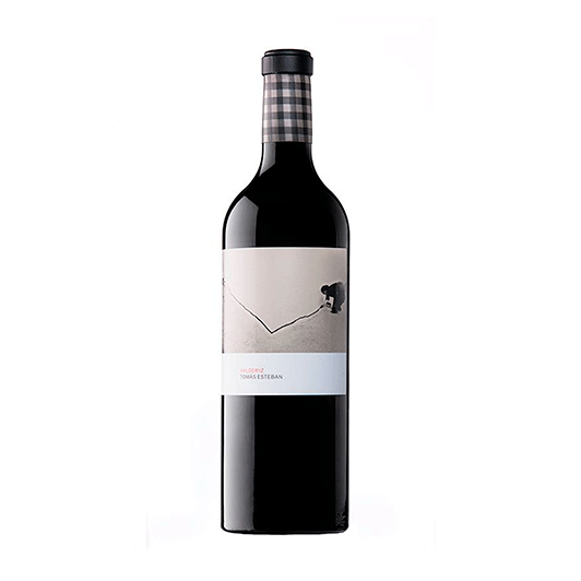 VALDERIZ TOMAS ESTEBAN 2017