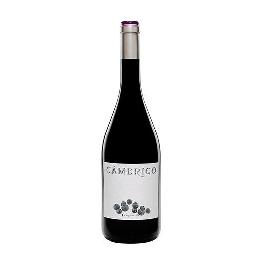 CÁMBRICO TEMPRANILLO 2009