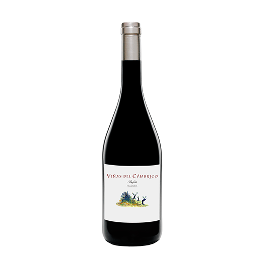 VIÑAS DEL CÁMBRICO VILLANUEVA 2017